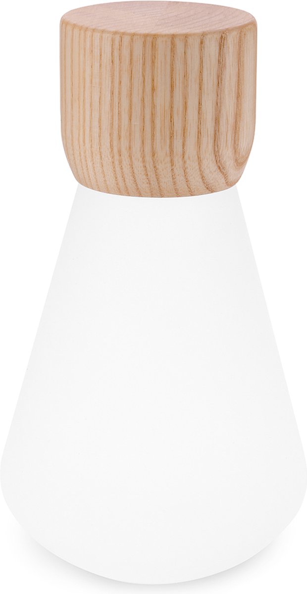 0703556205874 Pentagon Light bulb Lamp Large White Ash Wood Gingko Design