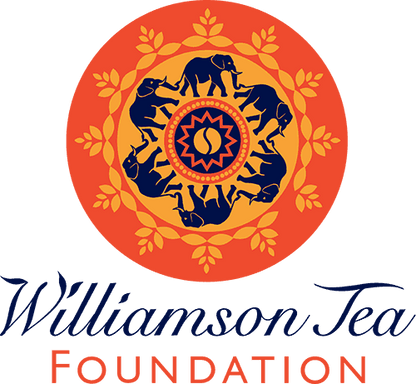 Williamson Elephant Tea Caddy - Festive Star -20 Earl Grey Tea Bags