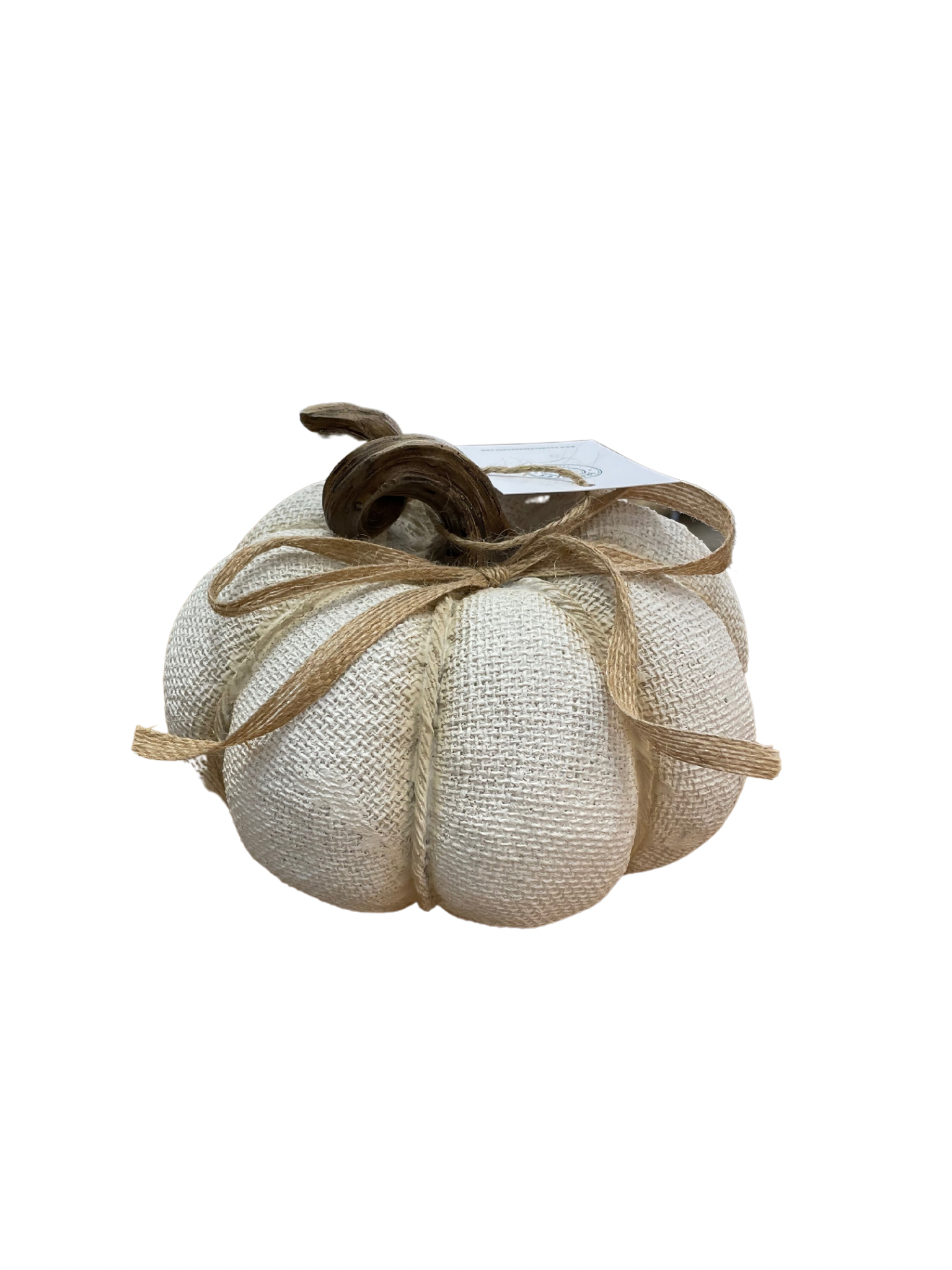 Portland 19cm White Textured Pumpkin