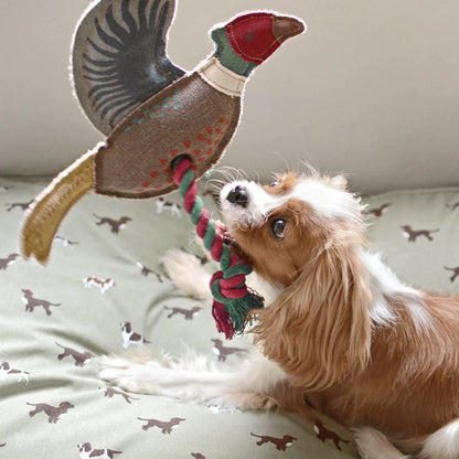 Pheasant Rope Dog Toy