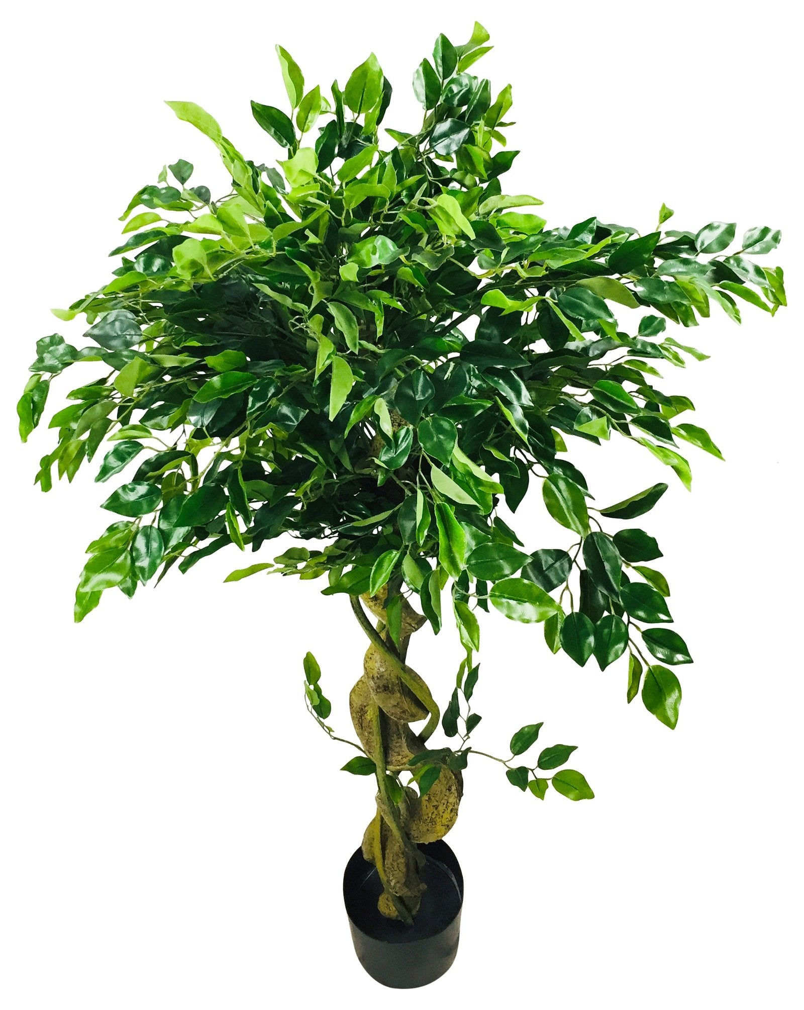 5055851602779 Geko Artificial Ficus Tree With Twisted Trunk 137cm brambles cookshop 224