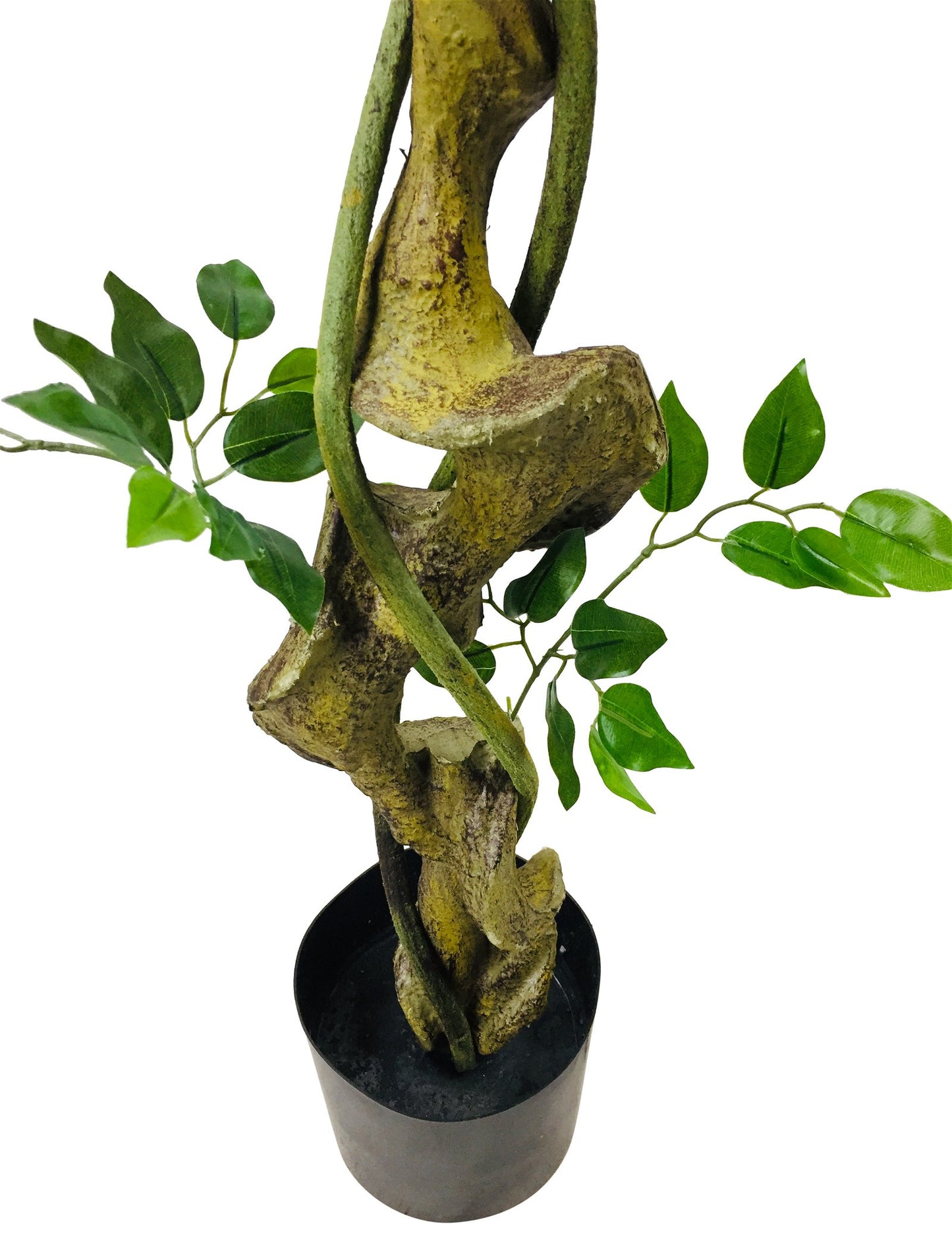 5055851602779 Geko Artificial Ficus Tree With Twisted Trunk 137cm brambles cookshop 226