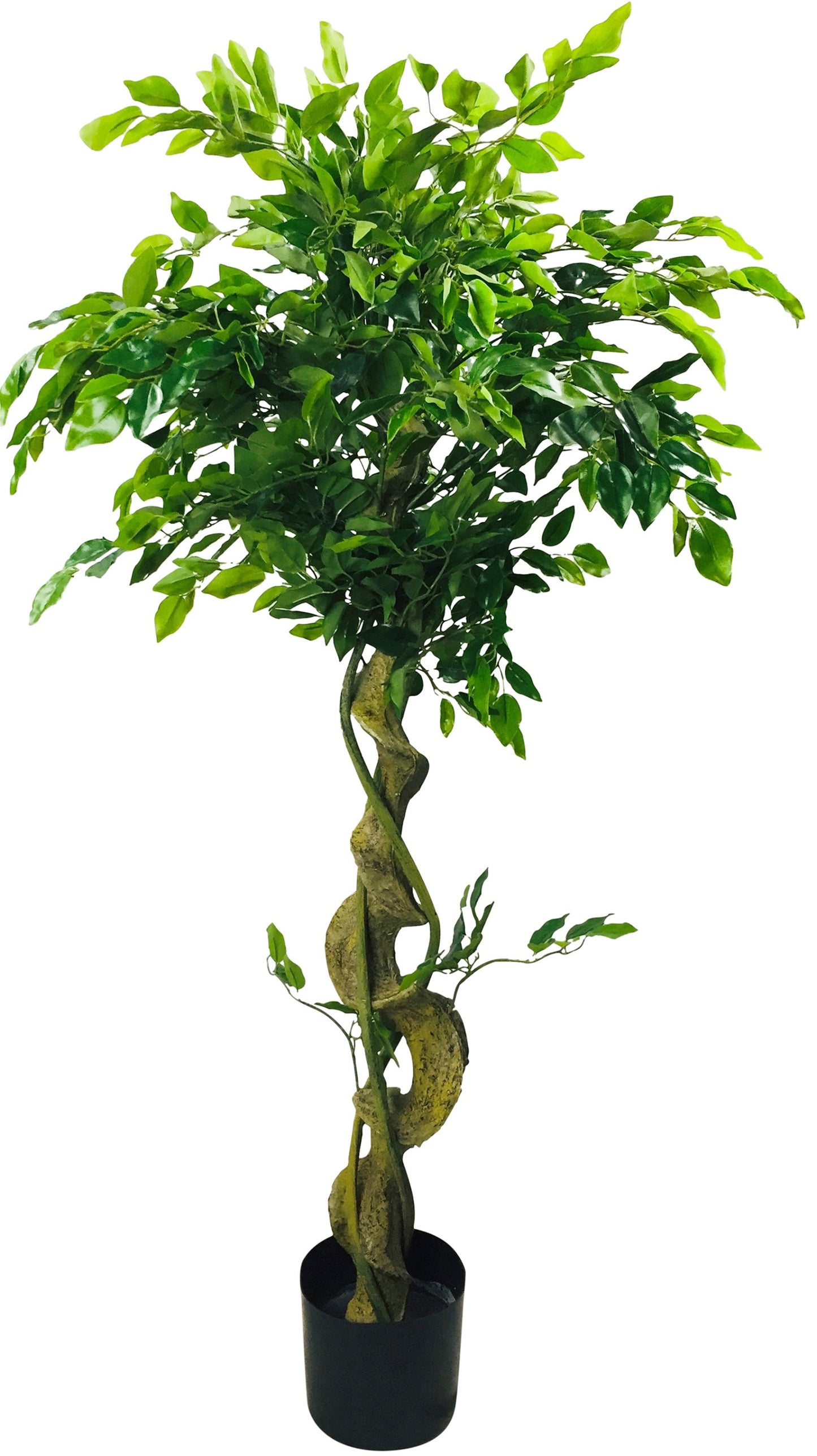 5055851602779 Geko Artificial Ficus Tree With Twisted Trunk 137cm brambles cookshop 223