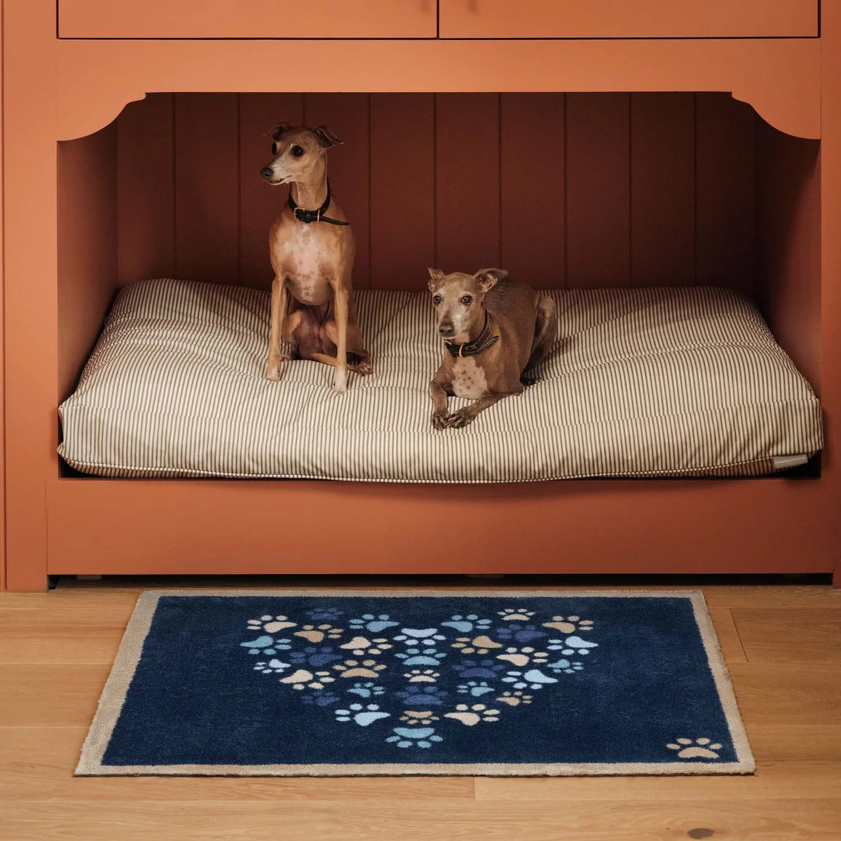 Hug Rug Paws for Love Blue  65x85cm