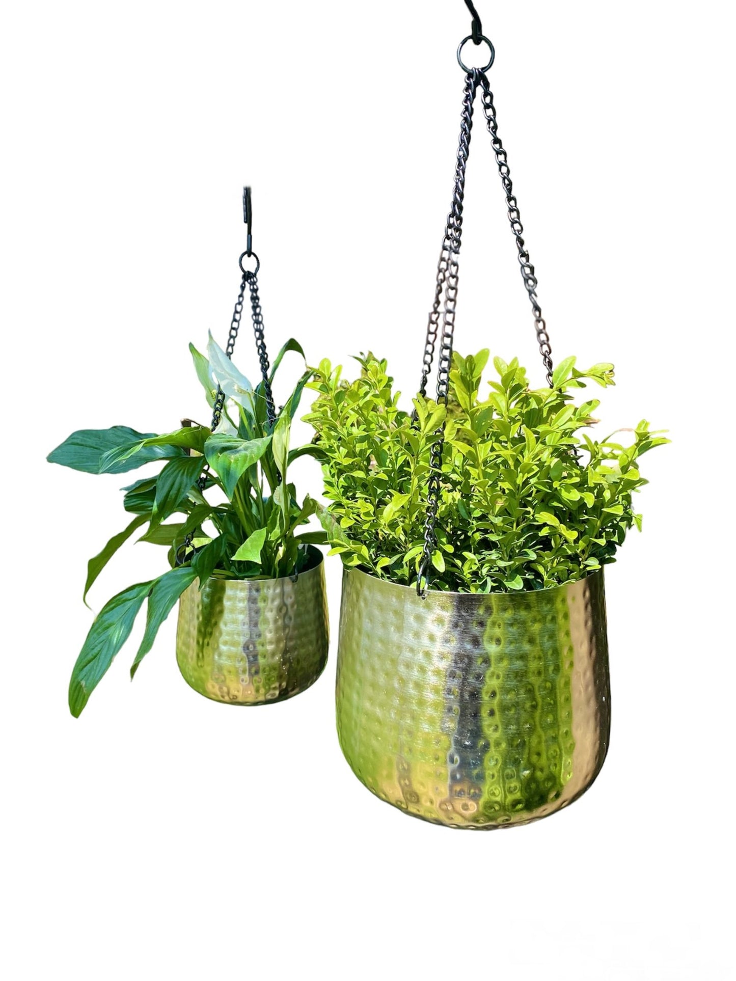 5024418362135 Geko Set of Two Hanging Aluminium Hammered Planters brambles cookshop 278