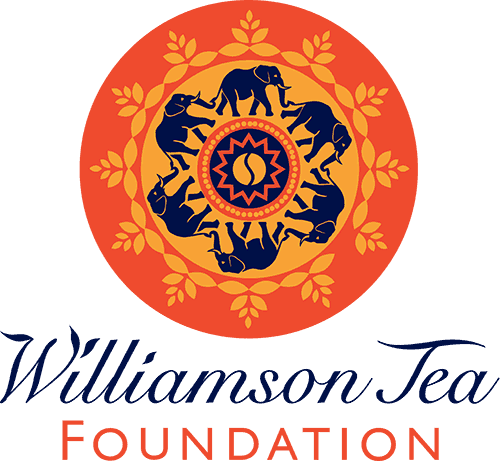 Williamson Elephant Tea Caddy - Festive Star -20 Earl Grey Tea Bags